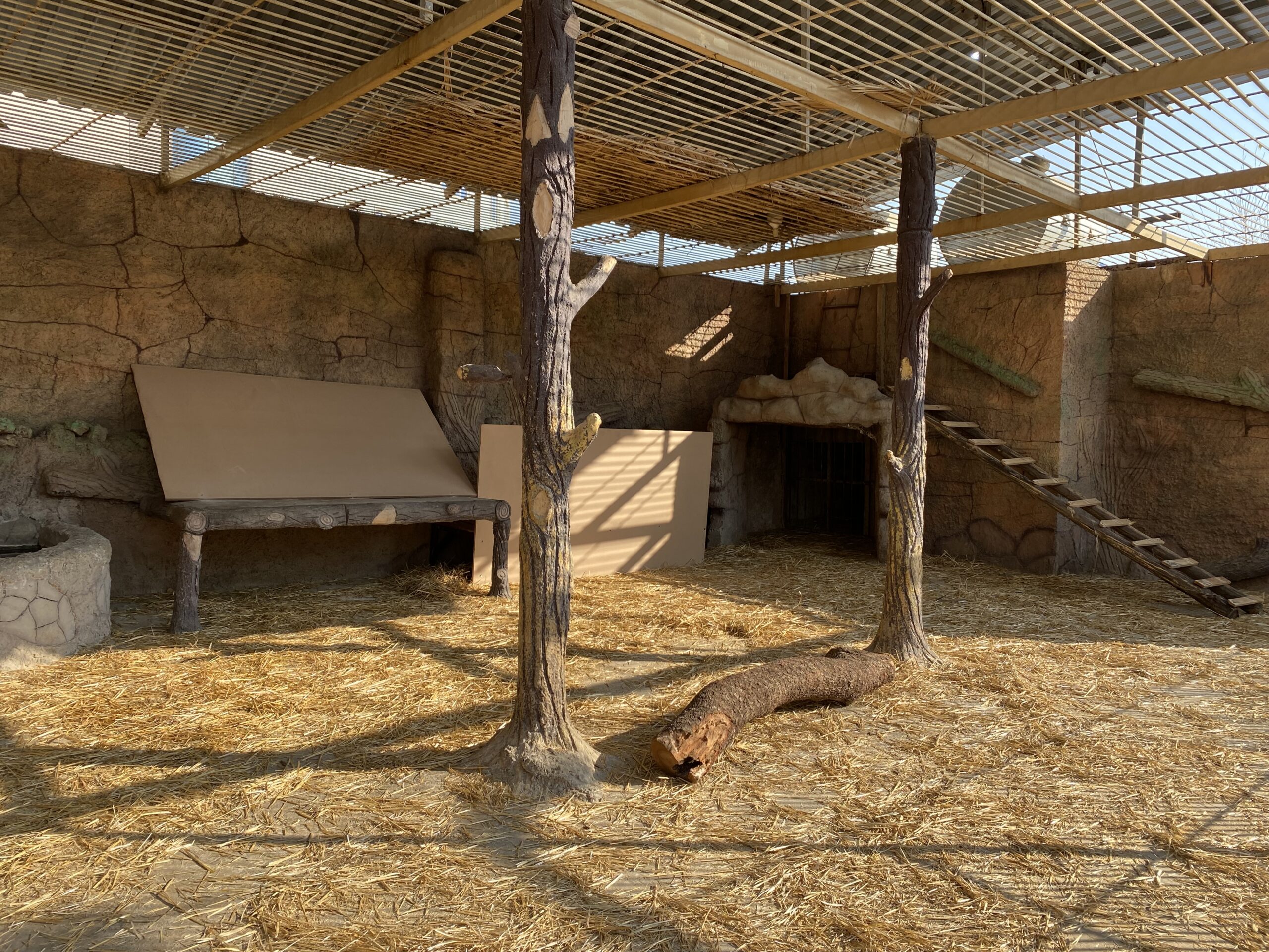 Enclosure AFTER Andy's' renovations